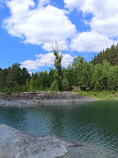 The image depicts a scenic natural landscape with a body of water in the foreground and a dense forest in the background. A large, gray, rocky outcrop dominates the left side of the frame, extending into the clear, greenish water. On this rock formation, there are several weathered logs and a tall, bare tree. The water's surface is rippled, reflecting the blue sky and white clouds above. Beyond the rocks and water, a lush green forest covers the hillside, with a variety of trees, including pine and deciduous varieties. The sky is a bright blue, dotted with fluffy white clouds. The overall impression is of a tranquil, undeveloped natural environment. This scene is located in Nizhnykayancha, Russia.
