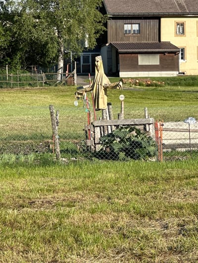 The image shows a scarecrow in a grassy field with a fence in the foreground. Behind the scarecrow, there is a wooden structure and dense green foliage. In the background, there are two buildings, one with a wooden facade and the other with a yellow facade, and a tall green tree. The scene appears to be in a rural or semi-rural setting. There is no evidence to suggest this location is in the city of Le Sentier, Switzerland.