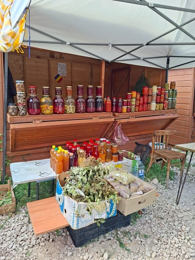 This image captures a stall selling preserved goods and dried herbs, likely at an outdoor market in Scoreni, Moldova. The stall is covered by a white canopy with yellow and white striped fabric draped over one side. A wooden structure forms the back of the stall, with shelves displaying numerous glass jars filled with various preserved fruits, vegetables, and possibly pickled items. The jars are of different sizes and shapes, some with red lids, others with gold or silver lids.
In the foreground, a collection of bottles filled with amber-colored liquid, likely juices or preserves, is arranged on a white tablecloth. Beside these bottles, a cardboard box overflows with dried herbs and plants, some of which are packaged in clear plastic bags. Another crate containing more produce is visible to the left. A wooden chair is positioned to the right of the stall, suggesting a place for a vendor or customer. The ground is covered in gravel. A Romanian flag is visible on the wooden structure behind the jars. The overall scene depicts a rural market setting.