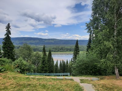 The image depicts a scenic overlook of a wide river and forested hills under a partially cloudy sky. In the foreground, a grassy slope leads to a paved pathway and a green wooden bench with yellow accents. Several evergreen trees of varying sizes are scattered throughout the scene, with a prominent birch tree on the right side of the frame. The river in the middle ground is calm, with sandy banks visible. The background is dominated by rolling green hills covered in dense forest. The location is described as being in Zelenogorsky, Russia. There are no people visible in the image.