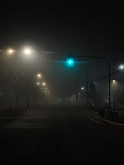 The image depicts a street scene at night, characterized by heavy fog. A green traffic light is prominently illuminated, casting a bright glow that pierces the dense fog. Streetlights are visible in the distance, their light diffused and hazy due to the fog. Palm trees line the left side of the street, their forms softened by the atmospheric conditions. The road surface is dark and appears wet, reflecting some of the ambient light. Electrical poles and wires are discernible through the fog, crisscrossing above the street. The overall atmosphere is one of low visibility and subdued lighting, typical of a foggy urban environment at night. The location is identified as San Fernando, Chile.