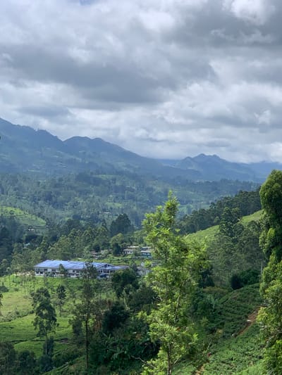 An overcast sky with dense, gray clouds hangs above a lush, mountainous landscape in Kuda Maskeliya, Sri Lanka. Rolling hills covered in verdant tea plantations stretch into the distance, interspersed with dense forests. Several buildings are visible, including a large, multi-story structure with a blue roof situated on a hillside in the mid-ground. Smaller houses with white roofs are scattered throughout the scene. The foreground is dominated by the dense foliage of trees, with a prominent green tree in the right-center of the frame. The overall impression is one of a serene, natural environment with human habitation integrated into the landscape.