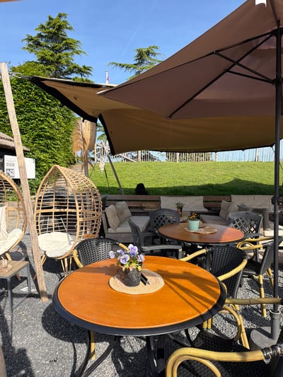 The image depicts an outdoor seating area in Rhenoy, Netherlands, featuring tables and chairs under a large umbrella. Two round tables are prominent, each adorned with flowers and placed alongside wicker chairs. A grassy lawn is visible in the background, separated by a fence. The scene appears to be a restaurant or cafe patio, bathed in sunlight under a clear sky.