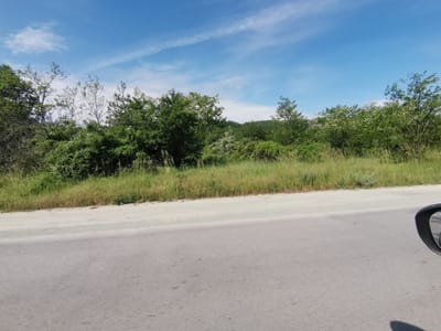 The image shows a roadside view in Gorna Vasilitsa, Bulgaria. A gray asphalt road fills the lower half of the frame. Beyond the road is a narrow strip of dirt and low vegetation, followed by denser bushes and trees. The sky is blue with wispy clouds. A car's side mirror is visible in the lower right corner, suggesting the picture was taken from a vehicle.