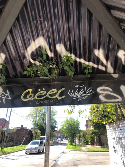 A photograph, taken in Beccar, Argentina, shows a street scene viewed through an opening in a structure covered in corrugated metal, graffiti, and climbing plants. The structure appears to be an overhang or shelter. The corrugated metal has white paint splattered on it. Graffiti in white and yellow is present on the vertical support of the structure. Leaves of climbing plants protrude from the structure.
Beyond the structure, the view opens onto a residential street with trees lining the sidewalks. Several cars are parked along the street, and houses and buildings line the roadway. Power lines and utility poles are visible against the sky. The day appears sunny with clear skies.