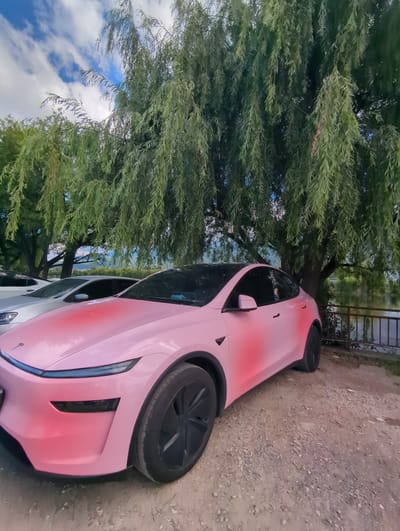 The image shows a pink Tesla parked on a dirt surface next to a large weeping willow tree. The car is angled, with its front passenger side visible. The tree's branches hang over the car, with some of its leaves touching the vehicle. In the background, there is a body of water, possibly a lake or river, and a distant shoreline with some vegetation. A metal railing is visible to the right of the car, suggesting it might be near a pathway or overlook. The sky is partly cloudy with patches of blue. The overall lighting suggests it is daytime. There is no visible text in the image. The scene appears to be outdoors, in a natural setting.
