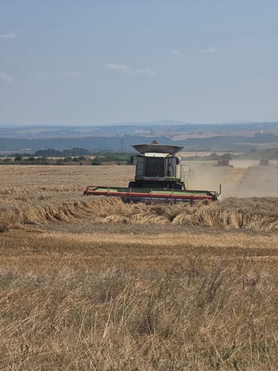 This is a vertical, eye-level, medium shot of a combine harvester working in a field of harvested wheat under a clear, light blue sky with a few scattered white clouds. The combine, a Claas model, is green and white and is positioned in the center of the frame, moving from left to right. The header of the combine, which cuts the wheat, is red and green. The field is a golden brown, with swaths of cut wheat visible in front of the machine and stubble behind it. In the background, rolling hills stretch to the horizon, dotted with trees and some agricultural infrastructure, including power lines. Another combine harvester is visible in the middle ground, kicking up dust as it works. The scene depicts agricultural activity, likely during harvest season, in or near Dobrinovo, Bulgaria.