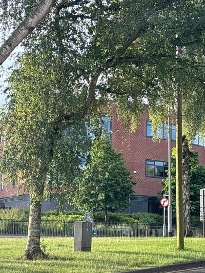 The image shows a modern brick building with large windows, partially obscured by the branches and leaves of several trees. The building appears to be a commercial or institutional facility. In the foreground, there is a grassy area with a metal fence and a grey electrical box. A traffic sign indicating "no right turn" is visible near a lamppost. The scene is set in a suburban or semi-rural environment, with the typical elements of a developed area. The overall impression is one of an ordinary day, with no particular events unfolding. The location is identified as Stafford, United Kingdom.
