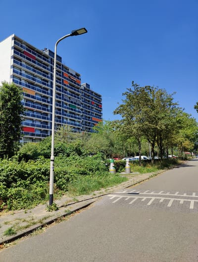 A bright, sunny day in Breda, Netherlands. A modern, multi-story apartment building with a white facade and dark balconies punctuated by colorful red, orange, and green panels dominates the left side of the frame. A tall, slender streetlight with a modern fixture stands in the foreground, positioned between the building and a sidewalk. Lush green bushes and trees line the sidewalk and extend in front of the building, creating a verdant buffer. To the right of the sidewalk is a paved road with a speed bump marked by white and gray brickwork. Several cars are parked on the right side of the road, mostly white. The sky is a clear, vibrant blue.