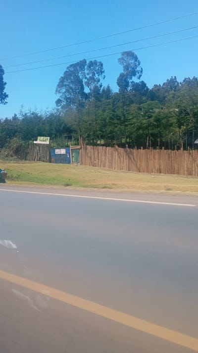 The image captures an outdoor scene from what appears to be a moving vehicle, evidenced by the slight blur and angle of the foreground road. The overall setting depicts a roadside view alongside a natural or semi-natural landscape.
In the foreground, a gray asphalt road stretches diagonally across the lower half of the frame. It features a clear white line marking its edge and a continuous yellow line running parallel further into the lane, suggesting a multi-lane highway or a two-way road. Reflections or glare are visible on the road surface, indicating a sunny day.
Beyond the road, a strip of dry, light green and yellowish-brown grass separates the paved surface from a wooden fence. This fence is constructed from numerous vertically placed, unhewn or roughly shaped wooden logs or poles, creating a rustic barrier that extends horizontally across the midground.
Behind the fence, partially obscured by the grassy strip, are several structures. To the left, a sign is prominently displayed, supported by poles. The most clearly legible word on the sign is "CHURCH" in green lettering against a lighter background. Below "CHURCH," further text is present but too blurry to decipher, though some letters might suggest "MINISTRY." To the right of the sign, there's a distinct blue structure, possibly a gate or a small building, made of corrugated metal or similar material. Further to its right, a smaller, dark green gate or door is set into the wooden fence.
Behind these structures and the fence, a dense line of trees forms the backdrop. The trees are a mix of evergreen conifers and taller, broader-leafed deciduous trees, creating a thick green canopy. The upper portion of the image is dominated by a clear, bright blue sky with no clouds. Thin, dark power lines are visible, stretching horizontally across the sky above the tree line.
The time of day appears to be daytime, likely mid-morning or early afternoon, given the bright, clear sky and apparent sunlight. No specific activity or individuals are discernible in the scene.