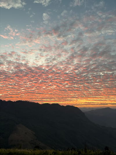 A vibrant sunrise illuminates rows of textured, peach-colored clouds stretching across the sky. The warm light contrasts sharply with the dark silhouette of a mountain range to the right, where shadows create a sense of depth. A thin band of yellow and orange light lines the horizon. A small section of green grass is visible in the lower right corner.