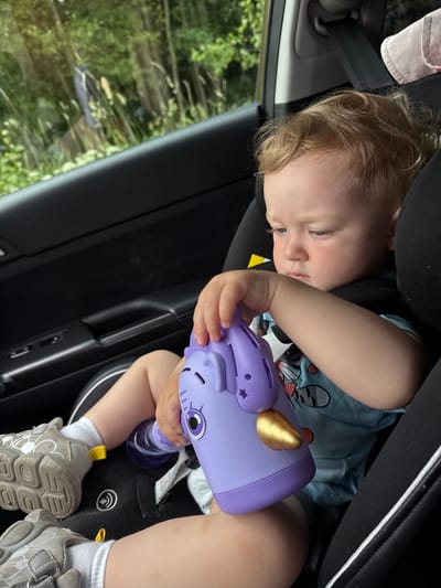 A young child with blond hair sits in a car seat, looking down at a purple toy that resembles a unicorn. The child is wearing a blue t-shirt with a cartoon print and grey sneakers. The car is in motion, as indicated by the blurred greenery seen through the window. The scene is set outdoors, possibly in a rural area or on the outskirts of a city, given the presence of trees and vegetation. There is no direct information within the image to specifically place it in Kondopoga, Russia.