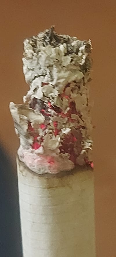 The image displays a close-up, vertical shot of a burning cigarette. The cigarette is positioned at the bottom of the frame, with its white paper wrapping clearly visible and segmented by horizontal lines. Above the paper, the tobacco burns and is covered in ash, forming a grey, textured mass. Red embers are visible glowing within the ash, indicating active combustion. The background is a plain, warm brown, creating a shallow depth of field that focuses attention entirely on the cigarette. No information about its location in Kohtla-Järve linn, Estonia, can be determined from the visual content of the image.