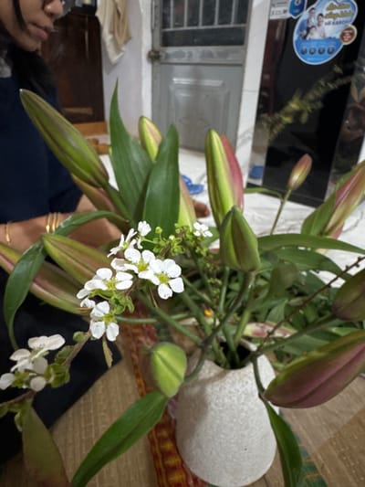 The image depicts an indoor setting in Ko H'Neh, Vietnam, focusing on a floral arrangement. A person is partially visible on the left, from the upper chest to the top of the head, with dark hair and possibly glasses, looking downwards towards the floral display. They wear a dark shirt, and multiple golden bangles are present on their left wrist.
Central to the frame is a bouquet of flowers arranged in a light-colored, speckled, ovoid vase. The arrangement predominantly features numerous green lily buds, many exhibiting hints of pink or red coloration, along with smaller clusters of white, five-petaled flowers with yellow centers. Green foliage is interspersed throughout the bouquet.
The vase rests on a woven mat with horizontal striped patterns in shades of brown and orange. In the background, to the right, a black, reflective refrigerator with a Vietnamese-language sticker featuring text and images of people is visible. To the left, behind the flowers and person, a light-colored wall with a grey metal door or gate with vertical bars and a handle mechanism is visible. The floor is tiled in a light, possibly white, color. The scene suggests a domestic environment, possibly during flower arrangement or display.
