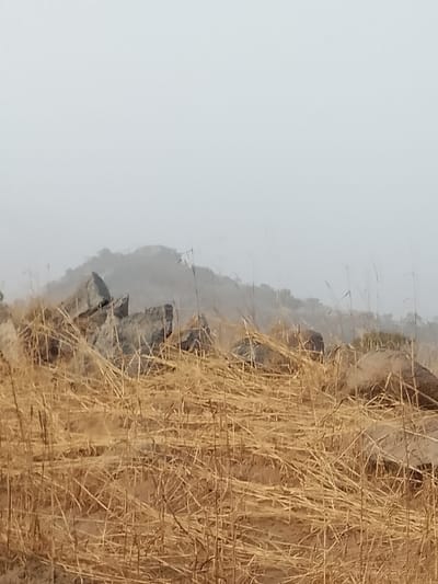The scene depicts an outdoor, natural landscape in Jibilik, Nigeria, characterized by arid conditions. The foreground is dominated by a dense, horizontal expanse of dry, golden-brown herbaceous vegetation, appearing mostly matted and fallen, consistent with straw or dried grasses. The ground beneath this vegetation is an earthen surface. In the midground, several large, irregularly shaped, grey-brown boulders and rock formations are partially obscured by the foreground vegetation. The background features a distant, undulating landform or hill range, rendered indistinct and muted in color by atmospheric haze or fog. The upper portion of the frame is occupied by an undifferentiated, light grey sky. No human subjects, animals, or signs of recent human activity are present.