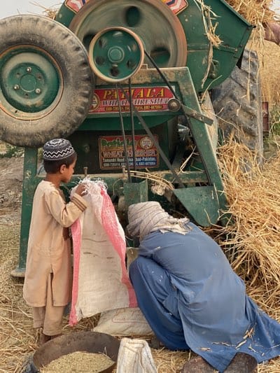 The image shows two people operating an agricultural thresher. A child wearing a traditional cap holds open a large white sack with pink stripes, while an adult wearing a head covering crouches nearby, appearing to assist. The thresher, labeled "Patiala Thresher" and "Wheat Thresher," is green and features a large spinning wheel and a belt system. Grain is visible in a metal bowl on the ground. The surrounding environment consists of straw or hay scattered on the ground. Although I cannot confirm the city of Alaqadari Daman, Afghanistan with certainty, the context of the image suggests a rural setting, potentially within Afghanistan.