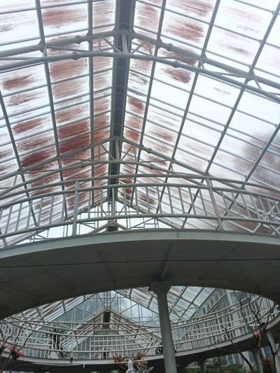 The image displays the interior of a large, multi-level conservatory or greenhouse structure, located in Munyati, Zimbabwe, viewed from a low perspective looking upwards. The dominant feature is the vaulted roof, composed of a light-colored metal grid structure, likely painted steel, supporting numerous translucent panels. These panels exhibit widespread reddish-brown streaking, consistent with rust runoff, algae growth, or accumulated dirt on the surface.

Beneath the main roof, a curved, elevated walkway or balcony is visible. This walkway has a solid, light-colored underside and is bordered by a matching balustraded railing. The walkway is supported by vertical columns, one of which is partially visible on the lower right. Below and behind the walkway, additional sections of the greenhouse are discernible, featuring more glass panels and supporting frameworks. Bare branches of large plants or trees are present on the lower right, and a water feature, specifically a fountain with a visible water jet, is partially observable at the bottom center. No individuals are present within the scene.