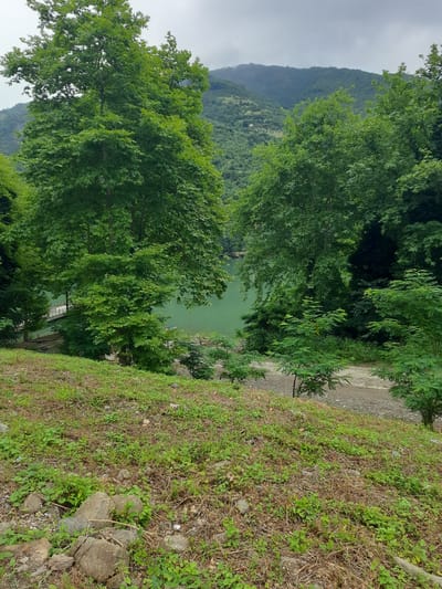 This image depicts a scenic view of a lake nestled amidst verdant, rolling hills and dense forestation. In the foreground, a grassy incline with scattered rocks and dry vegetation leads the eye towards the middle ground where tall, leafy trees frame a view of a tranquil, greenish body of water. A small, light-colored pier extends into the lake from the left bank. A narrow, unpaved pathway runs along the edge of the lake, disappearing into the trees on the right. In the background, layered mountain ranges, covered in thick green foliage, recede into a hazy, overcast sky. The overall impression is one of natural beauty and serenity, possibly in a rural or park-like setting. The presence of the pier and pathway suggests that this location may be accessible to visitors. The specific location in Ayvacık, Turkey, cannot be determined from the visual information alone.