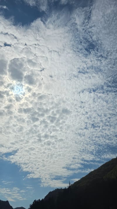 The image shows a sky filled with altocumulus clouds, with the sun visible through a gap. The right side of the image features a dark, silhouetted mountain ridge. The presence of a transmission tower cable supports the hypothesis that the location is Poleto, Bulgaria, known for its mountainous terrain and telecommunications infrastructure.