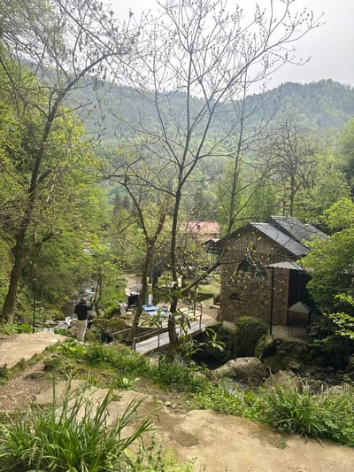 The image displays a serene, lush green landscape in a valley or mountainous region, consistent with Zeda Makhuntseti, Georgia. The scene is dominated by dense vegetation, featuring large trees with bare branches just beginning to bud and others adorned with vibrant green leaves, suggesting late winter or early spring. Distant hills or mountains, covered in thick foliage, rise in the background under an overcast or hazy sky, creating soft, diffuse daylight.
In the middle ground, a rustic stone building with a dark, possibly corrugated metal roof is nestled among the trees. It features small windows and appears to be a dwelling or a similar structure. To its left, a less distinct building with a red roof is partially visible. Adjacent to the stone building, an outdoor grill or furnace constructed from stone and brick is also present.
A clear stream or small river flows through the lower portion of the scene, its banks lined with rocks covered in moss and various green plants. Concrete or stone pathways meander through the foreground and lead towards the water. A person, dressed in a dark jacket and light pants, stands by the stream in the lower middle ground. Their back is mostly turned, and they appear to be observing the flowing water or something in their hand, suggesting a moment of quiet contemplation or appreciation of nature. Some indistinct blue objects, possibly outdoor furniture, are also visible near the stream on the left. No visible text is present. The overall atmosphere conveys tranquility and natural beauty.