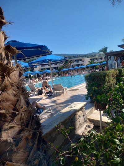 In Kos, Greece, on a sunny day, a resort pool area is depicted. A large palm tree trunk is in the foreground, partially obscuring the view of a swimming pool filled with people. Several blue umbrellas are set up around the pool, offering shade to lounge chairs. Some individuals are sunbathing on the chairs, while others are swimming or walking near the pool. In the background, a multi-story building, likely a hotel, is visible, surrounded by greenery and hills under a clear blue sky. The scene appears to be a typical vacation resort environment.