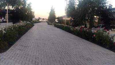 A paved pathway made of gray rectangular stones, laid in a herringbone pattern, stretches into the distance. On the left side of the pathway, a white picket fence borders a garden bed filled with an abundance of white and pink roses, interspersed with green foliage and some small white flowers. Behind the fence, several trees with light-colored trunks are visible, with one tree having a dark canopy. A person in a light-colored shirt is partially visible near a building on the far left. On the right side of the pathway, a similar garden bed with white and pink roses and green shrubs is visible, with a white picket fence. A white car is parked behind the fence, partially obscured by foliage and trees. Further down the pathway, more trees and buildings are visible, with a hint of a body of water and a dusky sky in the background. The overall scene suggests a well-maintained outdoor area, possibly a park, resort, or residential complex.