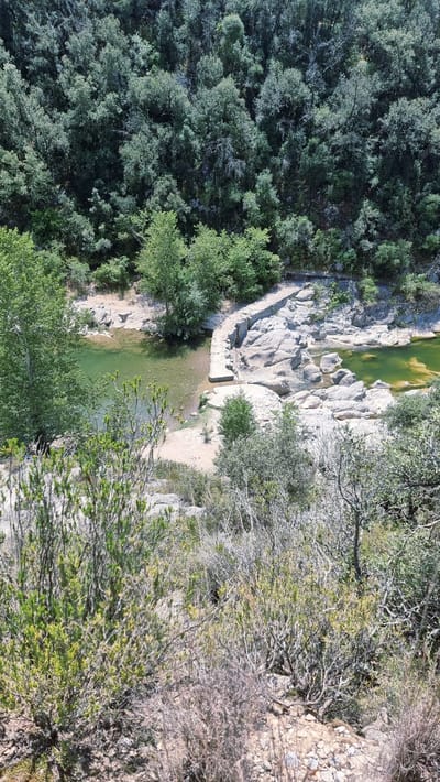 The image captures a serene natural landscape in Tortellà, Spain. The scene is dominated by lush green trees forming a dense forest that blankets a hillside. In the foreground, a natural body of clear, greenish water flows gently over a rocky riverbed. A man-made stone structure, possibly a dam or a walkway, curves along the edge of the water. Surrounding the water are large, grey rocks and a sandy bank. The vegetation in the immediate foreground consists of dry, brush-like plants and scattered rocks. The overall impression is one of tranquility and unspoiled nature.