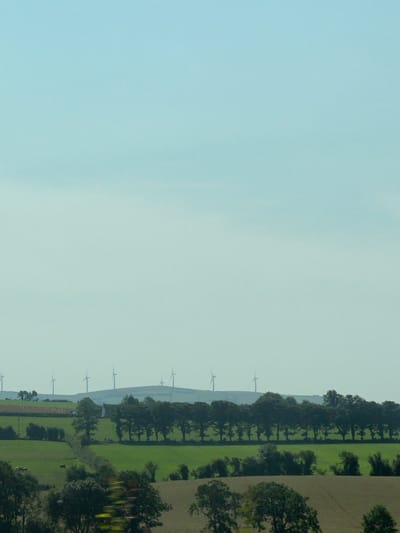 The image shows a pastoral landscape with rolling green hills and fields. In the background, several wind turbines are visible on the horizon, indicating a wind farm. A line of trees runs horizontally across the middle of the frame, separating different fields. In the foreground, there are more trees and a field with what appears to be harvested crops. The sky is a clear, pale blue. The scene is tranquil and rural, with no people or structures immediately apparent. The specific location within the city of Derry/Londonderry is not identifiable from the image itself.