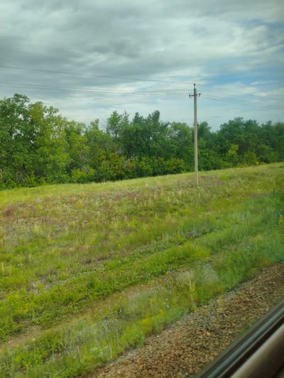 This image captures a rural landscape with a field and a line of trees under a cloudy sky. In the foreground, a dirt path cuts through a grassy field dotted with small purple and yellow wildflowers. To the right, a train track made of ballast stones is visible, with the edge of a train window reflecting the scene. A single wooden utility pole stands in the middle ground, supporting overhead wires that stretch across the frame. Behind the field, a dense line of lush green trees forms a backdrop, their leaves catching the diffused light. The sky is filled with heavy, grey clouds, suggesting overcast or impending rain. The overall impression is one of a tranquil, natural setting, possibly during the daytime given the ambient light, viewed from a moving vehicle. The location is identified as Buzuluk, Russia.