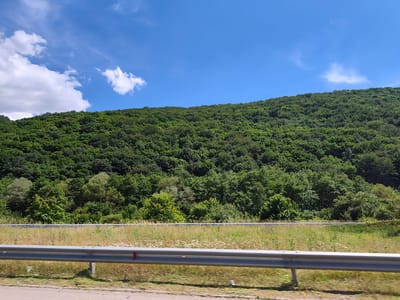 The image shows a dense, green hillside covered in trees, sloping upwards towards a bright blue sky with scattered white clouds. In the foreground, a metal guardrail runs horizontally across the frame, separating a grassy area with small white flowers from what appears to be a road surface. The scene is a natural landscape, likely captured from a moving vehicle on a sunny day. The location is identified as Potop, Bulgaria.