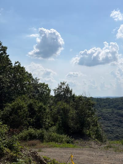 The image presents a tranquil natural landscape, likely in the countryside near Kosti, Bulgaria. The upper and left portions of the frame are dominated by a bright, light blue sky filled with numerous voluminous white cumulus clouds. Some clouds display subtle grey shading, indicating their depth and the direction of sunlight.
The lower and right sections of the image are occupied by a dense, verdant forest, with its dark green canopy extending across the frame. In the background, the forest covers hilly or mountainous terrain, appearing as a soft, hazy band against the distant horizon. A rugged dirt or gravel path runs along the right side of the image, bordering the dense vegetation. Small patches of green grass and foliage grow alongside this path.
Emerging from the greenery near the path, a thin, dark pole with a horizontal crossbar is visible, possibly serving as a utility pole or a trail marker. In the bottom right corner, a small fragment of bright yellow material, resembling tape or fabric, lies on the ground next to the path.
The scene depicts a sunny day, likely during the mid-morning or afternoon, characterized by clear visibility and bright illumination. No people or animals are visible, and no specific activities are taking place, portraying a peaceful, static view of nature. There is no visible text in the image.