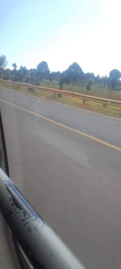 The image depicts a roadside scene in Hells Gate ward, Kenya, viewed from within a moving vehicle during daylight hours. A two-lane asphalt road with a solid yellow line delineating the far edge of the nearest lane occupies the central and lower right portions of the frame, showing signs of motion blur consistent with a moving viewpoint. A light brown metal guardrail, supported by concrete or metal posts, runs parallel to the road on the right side. Beyond the guardrail, a strip of green foliage transitions into a dense line of trees with dark canopies, extending towards the horizon. The sky, occupying the upper third of the image, is clear and light blue. The bottom left corner shows a portion of the vehicle's dark gray or black window frame or a grab handle, exhibiting signs of wear and chipping paint. No human or animal subjects are visible.