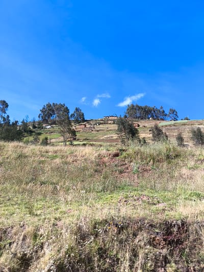 The image depicts a rural hillside landscape under a clear blue sky with a few scattered clouds. The hillside is covered in dry, brown grasses and interspersed with patches of green vegetation. A few trees are scattered across the landscape, primarily eucalyptus trees. On the crest of the hill, there are several simple structures, likely small dwellings, with earthen construction. These structures are clustered together, suggesting a small settlement. The lower foreground shows the edge of a grassy bank. The location appears to be in a rural or agricultural area, consistent with the terrain surrounding San Ignacio, Peru.