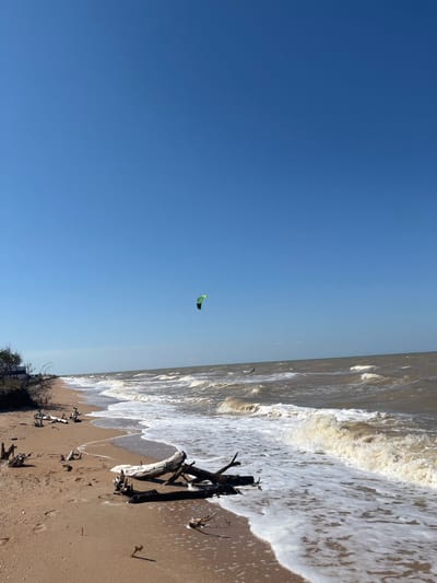 A bright, clear blue sky stretches over a beach scene in Dolzhanskaya, Russia. The sand is light brown, littered with driftwood and sparse vegetation. The sea is a murky brown, with white-capped waves rolling towards the shore. In the distance, a kite surfer is visible, their bright green kite a stark contrast against the blue sky. The image captures a windy day on the coast, with the elements shaping the landscape and providing an opportunity for watersports.
