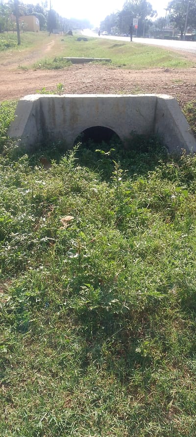 The image depicts an outdoor scene in the city of West Sakwa ward, Kenya, under bright daylight. In the immediate foreground, dense green grass and various weeds cover the ground. Directly centered in the foreground is a concrete culvert structure with a dark, rounded opening, serving as a drainage passage.
Behind the culvert, a dirt path or track traverses the midground from left to right, subtly ascending towards the left side of the frame. Further back, a paved road stretches into the distant background, appearing somewhat hazy due to atmospheric conditions or lighting. This road is bordered by a grassy shoulder.
On the right side of the paved road in the mid-background, one human figure, dressed in dark clothing, is clearly visible walking away from the camera's perspective. Farther down the road, several other indistinct human figures and a small vehicle, possibly a motorcycle, are present. Utility poles are visible along the road's edge in the distance. To the far-left background, a light-colored building with a dark roof is partially visible, obscured by trees and foliage. Trees line both sides of the paved road as it recedes into the background. The environment presents a mixture of natural vegetation and semi-urban or rural infrastructure.
