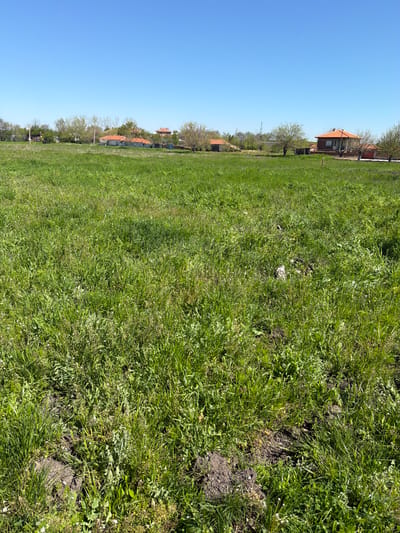 The image depicts a grassy field in Byala Reka, Bulgaria under a clear blue sky. Several houses with orange tile roofs are visible in the distance along the horizon. The grass is lush and green with patches of exposed soil. The perspective is slightly angled.