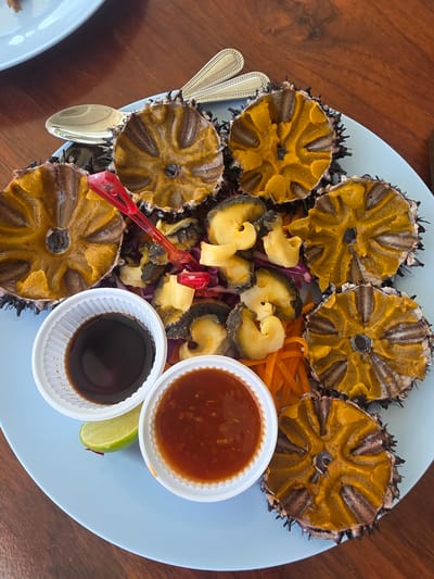 A light blue plate filled with seafood sits on a wooden table. The plate contains several sea urchins, their spiny exteriors removed to reveal bright orange roe. Surrounding the sea urchins are slices of what appear to be abalone or similar shellfish, along with shredded carrots and red cabbage. Two small white plastic containers hold dipping sauces: one with a reddish, chunky sauce, and the other with a dark, soy-sauce-like liquid. A wedge of lime rests beside the dark sauce. A small red plastic fork is stuck into the middle of the plate. Two gold-colored spoons are visible on the left side of the plate, partially obscured by the sea urchins. The scene is lit by overhead lighting, suggesting it is daytime, likely indoors or on a shaded patio. The overall impression is of a prepared meal, ready to be eaten, with a focus on fresh seafood. The location context of Bang Sare, Thailand, suggests this could be a meal enjoyed at a seafood restaurant or market by the coast. No people are visible in the image.