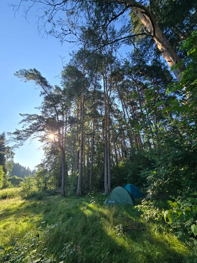 The image depicts a campsite nestled in a forest clearing near Voinskaya Chast' Mchs, Russia. Two tents, one green and one blue, are pitched on a grassy area bathed in dappled sunlight. Tall pine trees surround the clearing, their needles casting long shadows. The sky is a clear, bright blue, indicating fair weather. In the background, a dense forest extends into the distance, with the sun's rays filtering through the trees, creating a warm, inviting atmosphere. The overall scene suggests a peaceful, outdoor recreational setting.