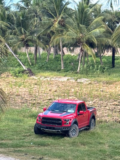 A red Ford F-150 Raptor pickup truck is parked on a grassy area with a dirt patch beside it. The truck is angled slightly, with its front facing towards the right side of the frame. The landscape is lush and tropical, characterized by numerous tall palm trees with their fronds extending across the upper portion of the image. The ground is covered in a mix of green grass and dry, light-colored earth. The lighting suggests it is daytime, likely during the day, with the sun casting shadows. The scene appears to be in a rural or natural setting, possibly near a beach or a tropical coastline, given the abundant palm trees. There is no visible text on the truck or in the surrounding environment. The overall impression is one of a vehicle in an outdoor, natural environment.