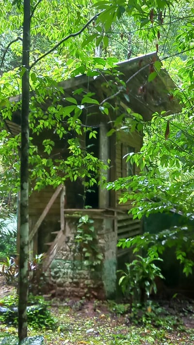 A small, weathered wooden cabin is partially obscured by dense green foliage. The cabin has a visible roofline, windows, and a porch or raised area accessed by a wooden structure resembling a crude staircase or support. The building appears to be in a natural, possibly wooded, environment. The specific location is Ban Pak Ra, Thailand.