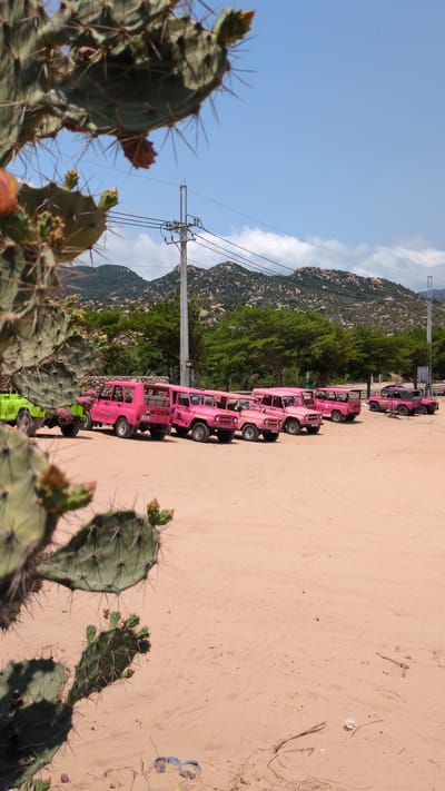 The image depicts a line of pink and green vehicles parked on a sandy terrain, possibly a desert or arid landscape. The vehicles appear to be off-road vehicles, potentially used for tours or excursions. A backdrop of green trees and mountains is visible behind the vehicles. The sky is blue with some clouds, indicating a sunny day. Cacti are visible in the foreground. The location is Phuoc Dinh, Vietnam, based on available information.