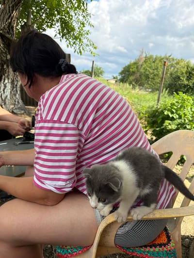 In Komsomolskiy, Russia, a person sits outdoors on a yellow plastic chair, their back to the camera. They are wearing a pink and white striped shirt and striped pants, with a colorful crocheted mat on their lap. A small grey and white kitten is perched on the chair, looking down. The background shows greenery and a cloudy sky.