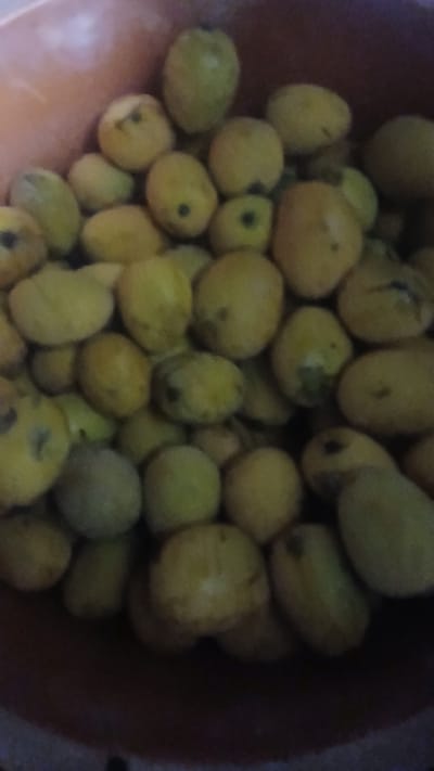 A close-up, slightly blurry image shows a collection of light yellow-green, oval-shaped fruits in a reddish-brown bowl. The fruits vary in size, with some appearing larger and more elongated than others. Some have small dark spots or blemishes. The fruits are densely packed in the bowl. The background is out of focus, with hints of the bowl's color and possibly a surrounding surface. While the prompt indicates a location in Putucual, Venezuela, this information is not discernable from the image alone.