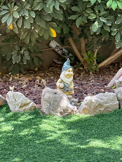 A garden scene in Ariel, Palestinian Territories, features a gnome figurine positioned among rocks, brown mulch, and artificial turf. The gnome is dressed in a light-colored outfit and a blue hat, holding a dark object that resembles a lantern. Green foliage occupies the left side of the frame, contrasting with the brown tones of the mulch. A partially visible sign is situated behind the gnome. The right side of the scene transitions into an area covered with bright green artificial turf, marked by a shadow pattern. Rocks are positioned at the edge between the turf and the mulch.