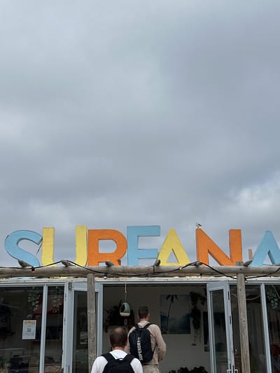 In Overveen, Netherlands, two individuals are captured in a photograph from behind, facing a building adorned with large, colorful wooden letters spelling "SURFANA." The letters, in shades of blue, yellow, and orange, are positioned above the entrance of a store. A seagull is perched atop the letter "N." The building features glass doors and windows, offering glimpses of greenery and artwork within. The sky is overcast with a grey, cloudy atmosphere. One person wears a light brown shirt and a black backpack with "SUPERDRY" visible, while the other is partially visible in the foreground, also wearing a backpack. The overall scene suggests a coastal or surf-themed establishment.
