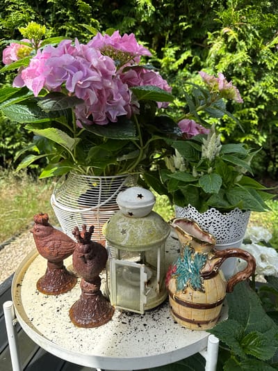 This is a close-up, eye-level, outdoor photograph of a still life arrangement on a circular, distressed, off-white metal table. The table is positioned in a garden setting, with lush green foliage of trees and bushes serving as the background. The scene is brightly lit, suggesting it was taken during the daytime, likely in good weather.
The arrangement features two potted plants in decorative white planters. The plant on the left is a large hydrangea with abundant pink blooms and dark green leaves. The plant on the right is smaller, with green foliage and delicate white, feathery flowers. Both planters appear to be made of metal, with the left one having a wire basket design and the right one a more intricate, perforated pattern.
In front of the planters are several decorative objects. Two rusty, cast-iron bird figures stand on ornate, pedestal-like bases. The bird on the left appears to be wearing a small crown, and the bird on the right has a more prominent, elaborate crown. Between the birds and slightly behind them is a vintage-style lantern. The lantern is made of metal, painted a pale green, and has a white, domed lid adorned with small star cutouts. It appears to be an open-air lantern with glass panes, though they are difficult to discern clearly.
To the right of the lantern is a small, decorative pitcher. The pitcher is shaped like a barrel, with horizontal brown bands and a yellow, wood-grain texture. It is adorned with a painted illustration of green grape leaves and purple grapes. The handle is brown and twig-like, and the rim of the pitcher is gilded.
The table itself is speckled with small dark particles, possibly soil or debris. The overall impression is one of a charming, whimsical garden display. The photograph provides no information regarding the city of Charleroi, Belgium, or any specific location within it.