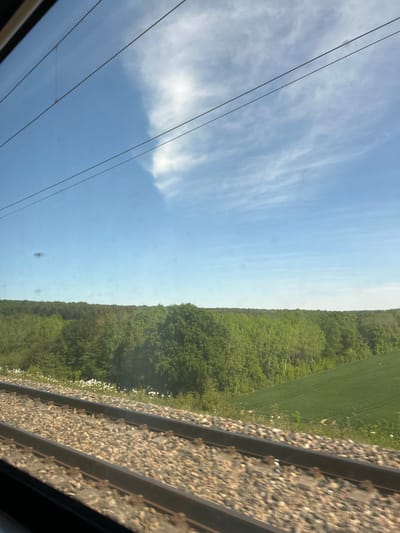 The image displays a serene rural landscape viewed from a moving train, captured during what appears to be a bright, sunny day. The perspective is from inside a train carriage, looking out through a window, with subtle reflections and dust specks visible on the glass.
In the bottom right foreground, the gravel ballast and dark rails of train tracks are prominent, running diagonally upwards and to the right. The slight blur on the tracks suggests the train is in motion. Small clusters of white wildflowers line the edge between the tracks and the surrounding vegetation.
Immediately adjacent to the tracks, and forming a significant portion of the mid-ground, is a dense band of lush green trees and foliage, suggesting a forest or extensive woodland. To the right of this tree line, a vast field of vibrant green crops, possibly agricultural land, stretches into the distance under the sunlight.
The upper portion of the image is dominated by a clear, bright blue sky, accented with soft, wispy white clouds that extend across the frame. Thin, dark overhead lines, likely electrical wires for the train or utility lines, traverse the sky in the upper left.
The scene evokes a peaceful journey through the countryside, characteristic of the Essômes-sur-Marne region in France. The weather is fair, with bright daylight and scattered clouds. There is no visible text in the image.