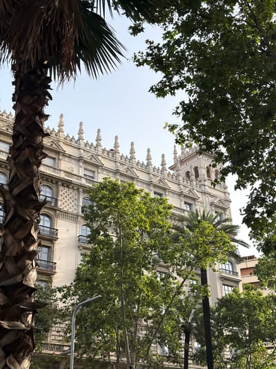 In Barcelona, Spain, a grand, ornate building with multiple floors and balconies is framed by lush green trees. A tall palm tree with a rough, textured trunk stands prominently in the foreground on the left, its fronds reaching towards the pale sky. The building features intricate architectural details, including decorative cornices, arched windows, and small spires along its rooftop. Several windows have black wrought-iron railings on their balconies. The trees, with their dense foliage, create a dappled effect of light and shadow on the building. In the lower-middle section of the image, a modern, curved streetlamp is visible, suggesting an urban setting. The sky is clear and bright, indicating a daytime scene.
