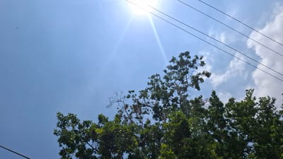 This is a low-angle shot looking up at a bright blue sky on a sunny day. In the upper left quadrant of the image, lush green tree branches with leaves overhang the sky. Below the branches, several dark power lines stretch diagonally across the frame from the lower left to the upper right.

The sun is a prominent feature, positioned in the lower center of the image. It emits bright rays that create a lens flare effect, illuminating the sky. A few scattered white clouds are visible in the upper left portion of the sky, nestled amongst the tree branches. The overall impression is one of a clear, sunny day, possibly in the late morning or early afternoon, given the sun's position and brightness. There are no people or discernible text in the image. The scene suggests an outdoor environment, likely in a populated area due to the presence of power lines, and the vegetation indicates it is likely spring or summer.