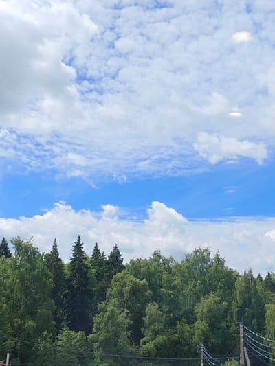 The image depicts a forest canopy against a bright blue sky filled with white, fluffy clouds. Two lenticular clouds are visible in the upper right quadrant of the sky, appearing as bright, disc-like formations. The forest is dense and lush, with a variety of green trees. In the lower right, power lines and utility poles are partially visible, suggesting the edge of a populated area or infrastructure adjacent to the forest. The scene is captured on a clear day, likely during daylight hours. The location is identified as Bogoslovo, Russia.